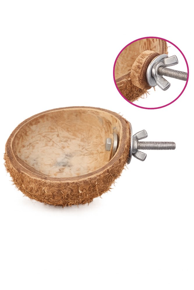 Coconut Bowl