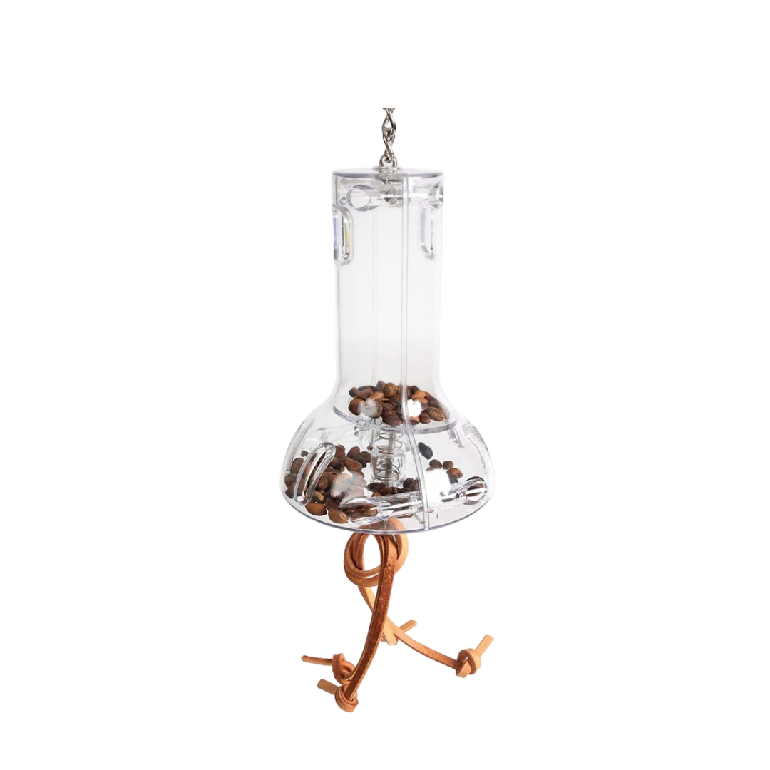 Foraging Capsule