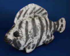 Blackwhite fish