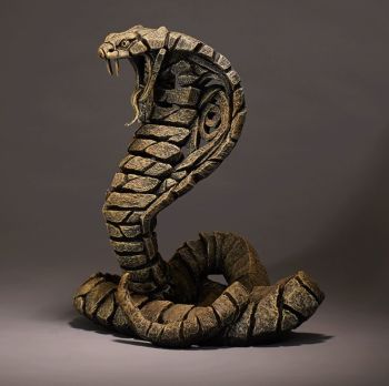 Cobra (Desert)