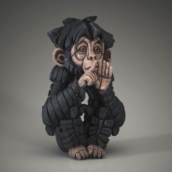Baby Chimpanzee - Speak no Evil