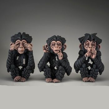 Baby Chimpanzee - See/Hear/Speak Set 3
