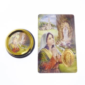 Catholic Our Lady of Lourdes car plaque gift magnet 