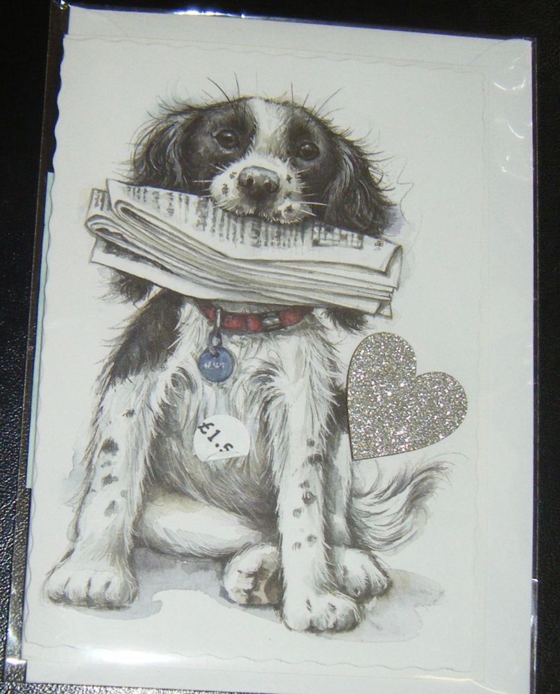 Springer Spaniel - Dog Greeting Card Blank Inside