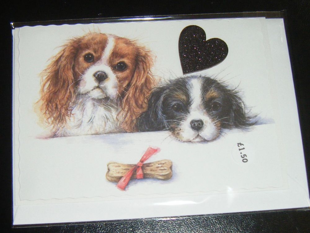 Cavalier King Charles Spaniel - Dog Greeting Card Blank Inside