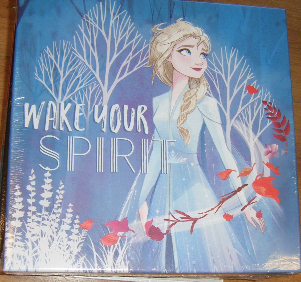 Disney Frozen Wall Art Canvas Print