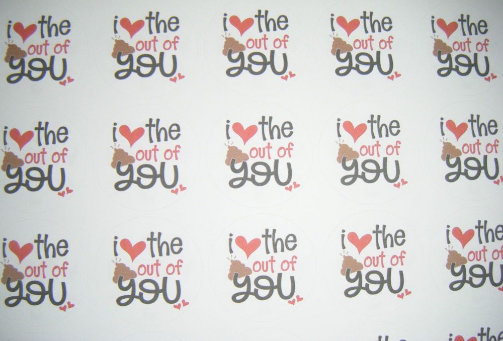 I Love The Sh*t Out Of You Stickers