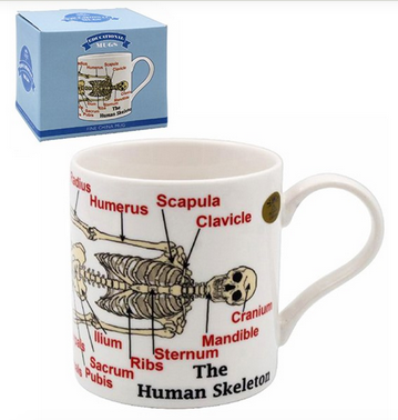 Educational Coffee Mug Skeleton