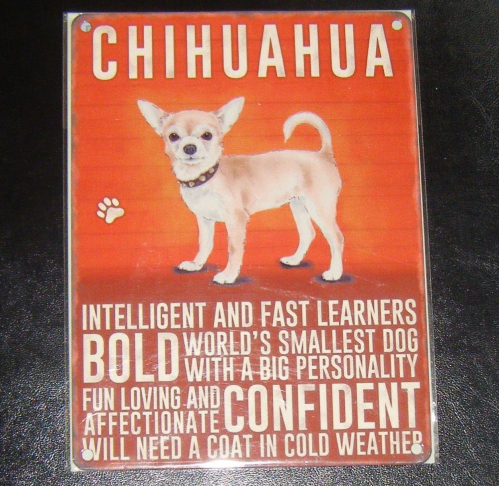 Chihuahua  - Dog Breed Metal Wall Sign