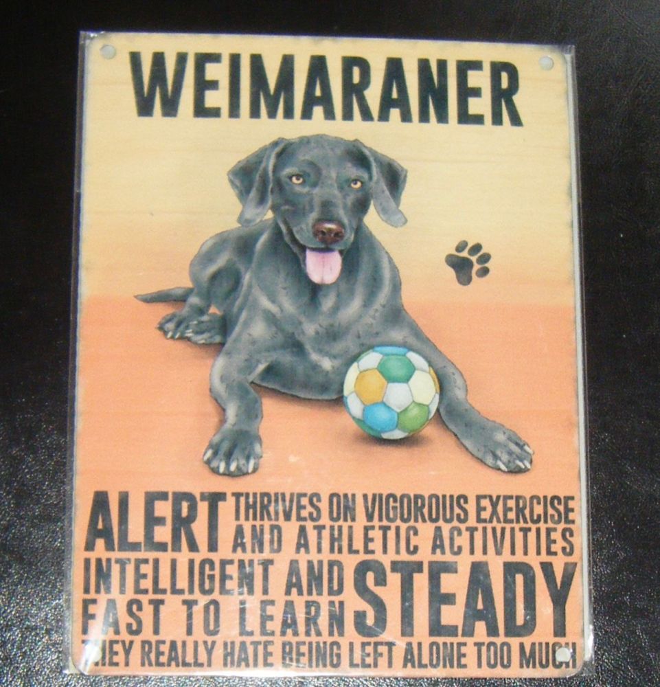 Weimaraner  - Dog Breed Metal Wall Sign