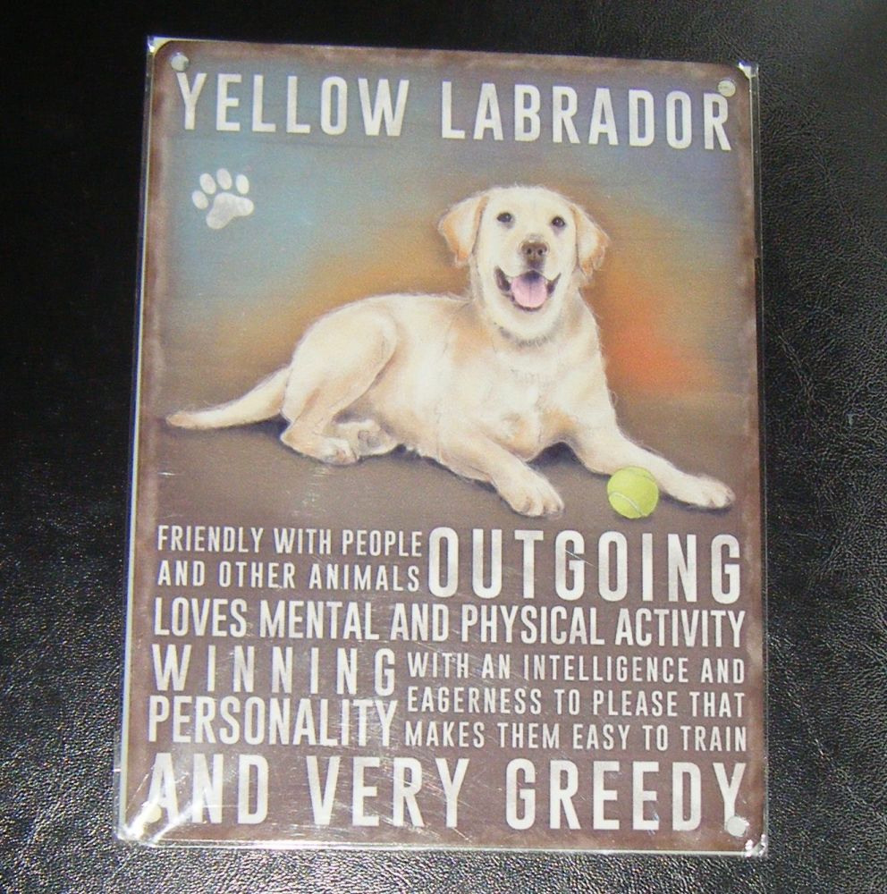 Yellow Labrador - Dog Breed Metal Wall Sign