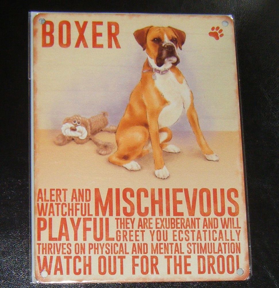 Boxer - Dog Breed Metal Wall Sign