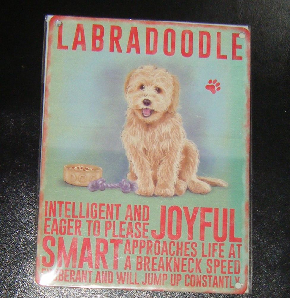 Labradoodle - Dog Breed Metal Wall Sign