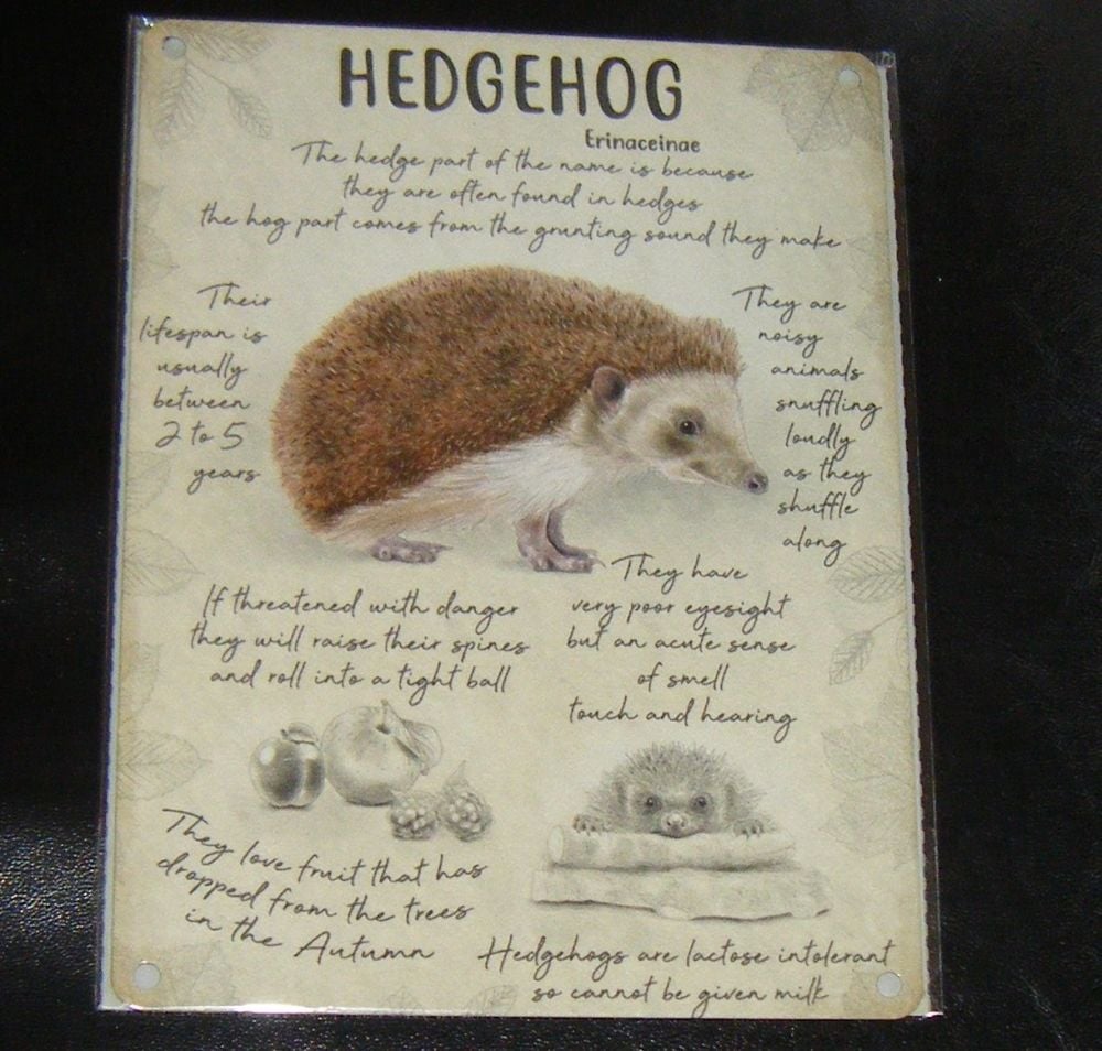 Hedgehog Info  - Animal Metal Wall Sign