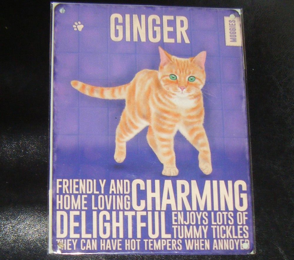 Ginger - Cat Breed Metal Wall Sign