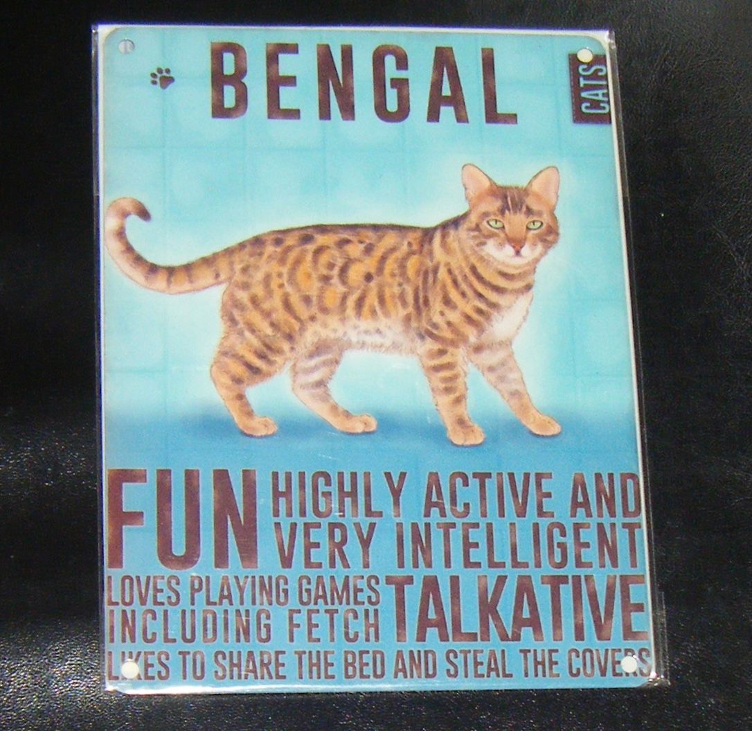 Bengal - Cat Breed Metal Wall Sign