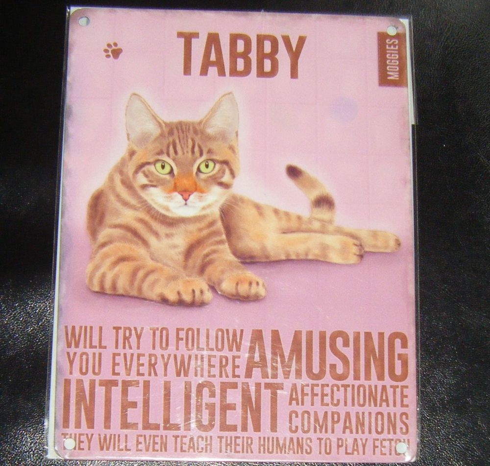 Tabby - Cat Breed Metal Wall Sign