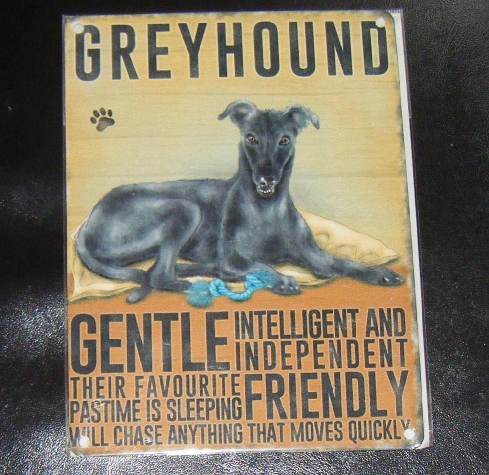 Greyhound - Dog Breed Metal Wall Sign - Tin Picture