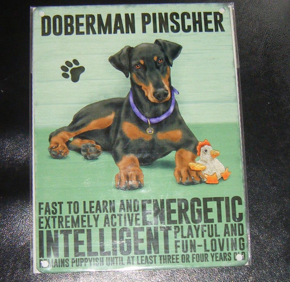 Doberman Pinscher - Dog Breed Metal Wall Sign
