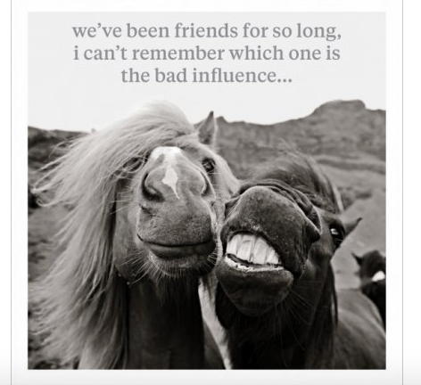 Bad Influence - Horse Greeting Card Blank Inside