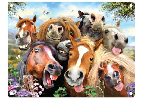 Horses Selfie Funny Metal Wall Sign