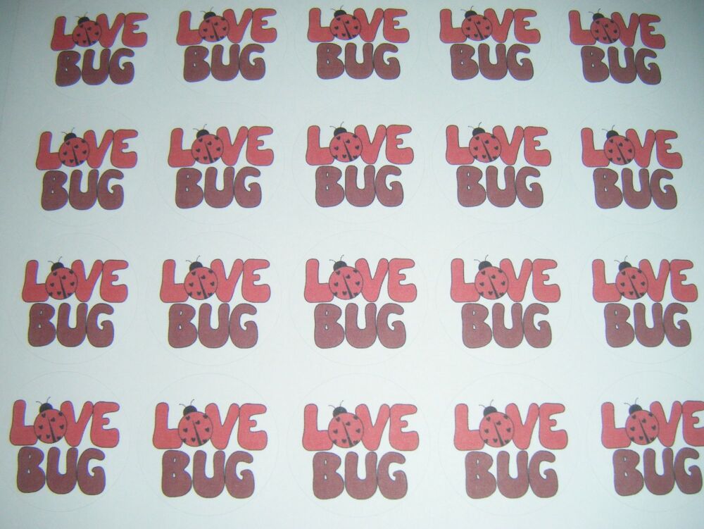 Love Bug With Ladybird Stickers