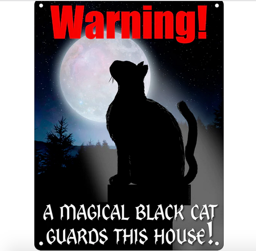 Warning - A Magical Black Cat - Fun Metal Wall Sign