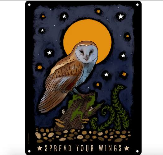 Spread your Wings  - Owl - Fun Metal Wall Sign