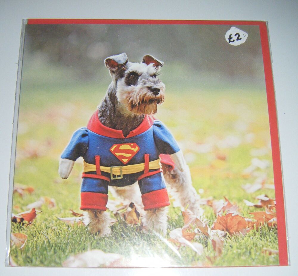 Superhero Dog Greeting Card - Blank Inside