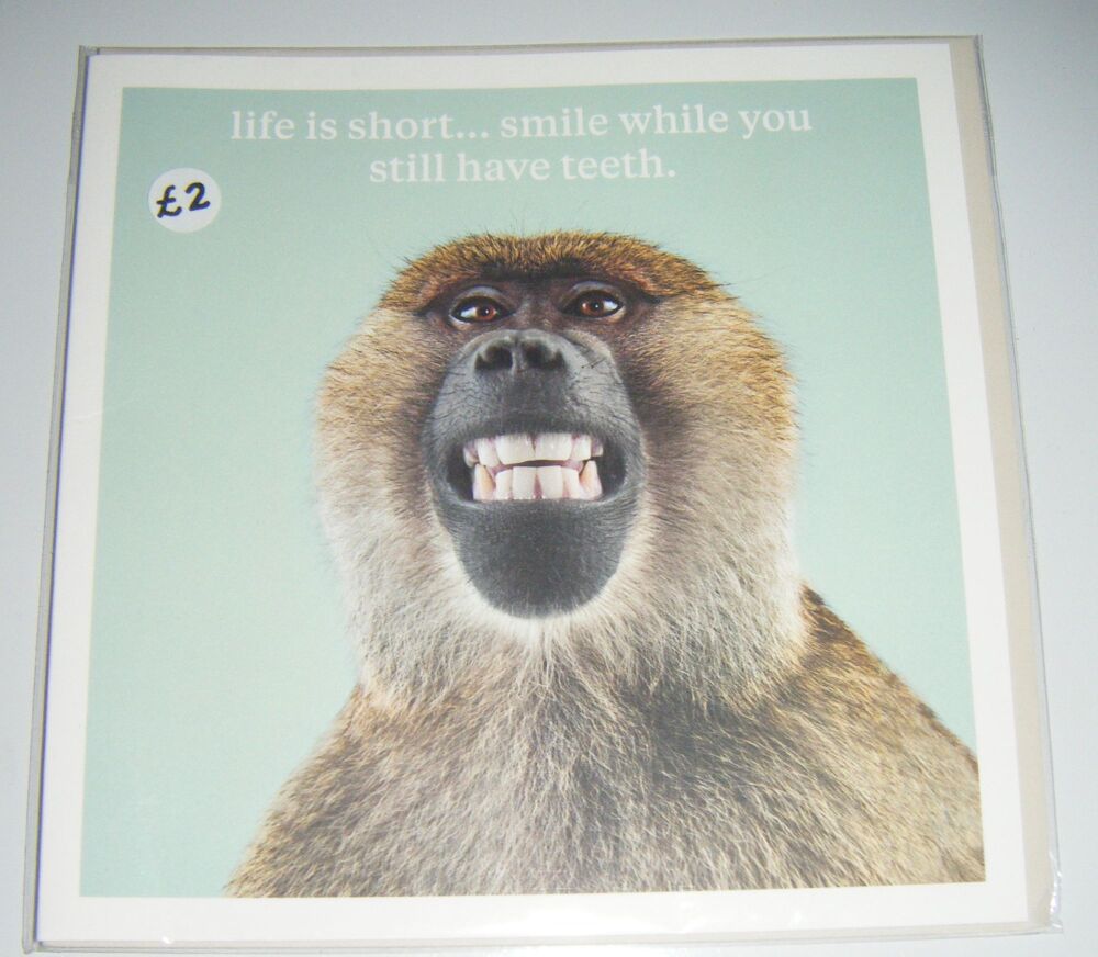 Life is Short Smile ... Monkey Funny Greeting Card - Blank Inside