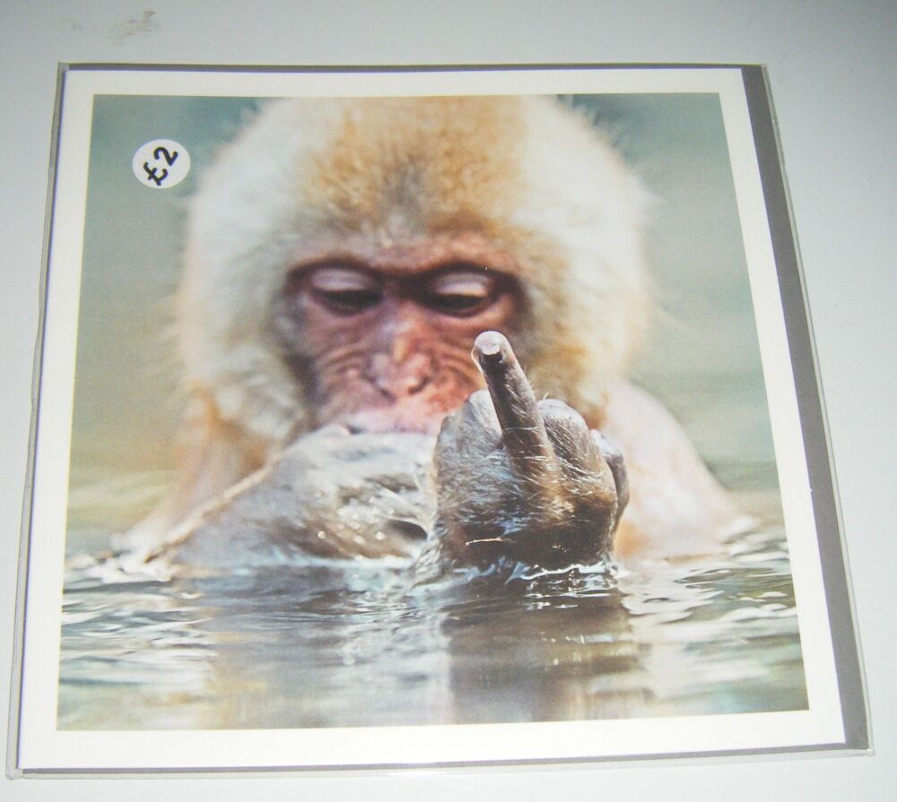 Monkey Finger Funny Greeting Card - Blank Inside