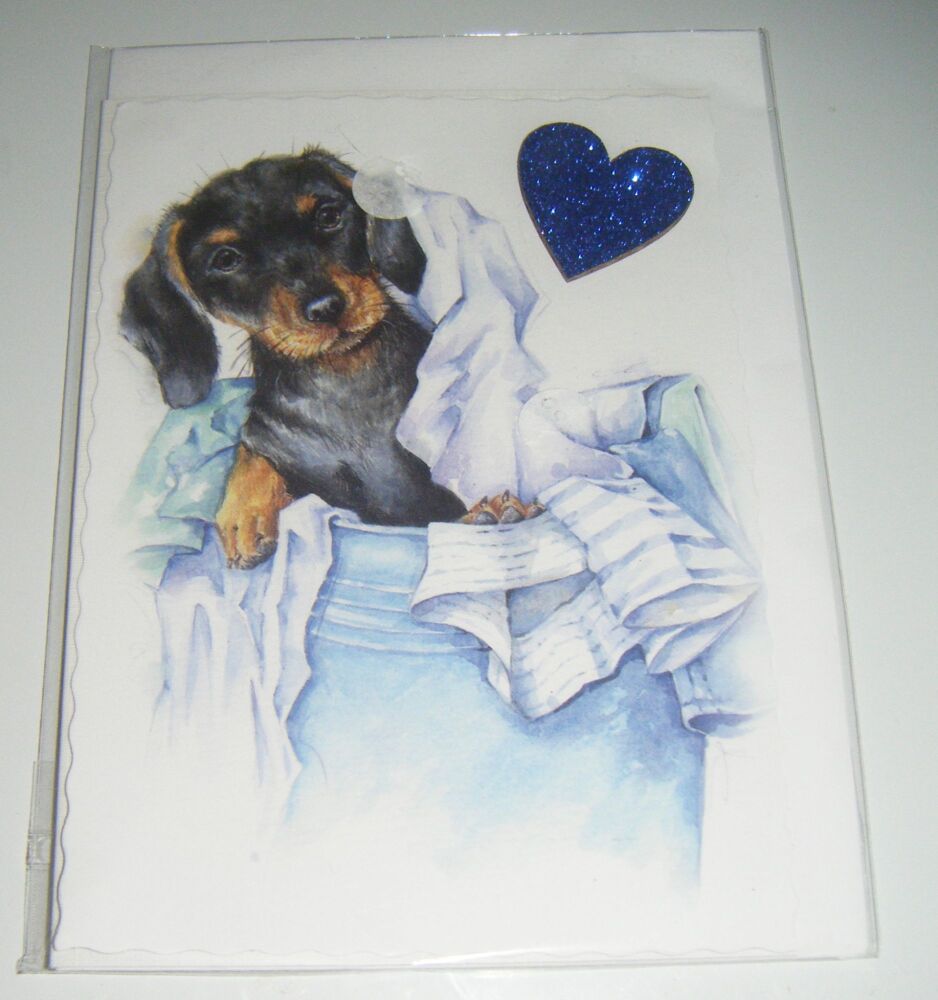 Dachshund - Dog Greeting Card Blank Inside
