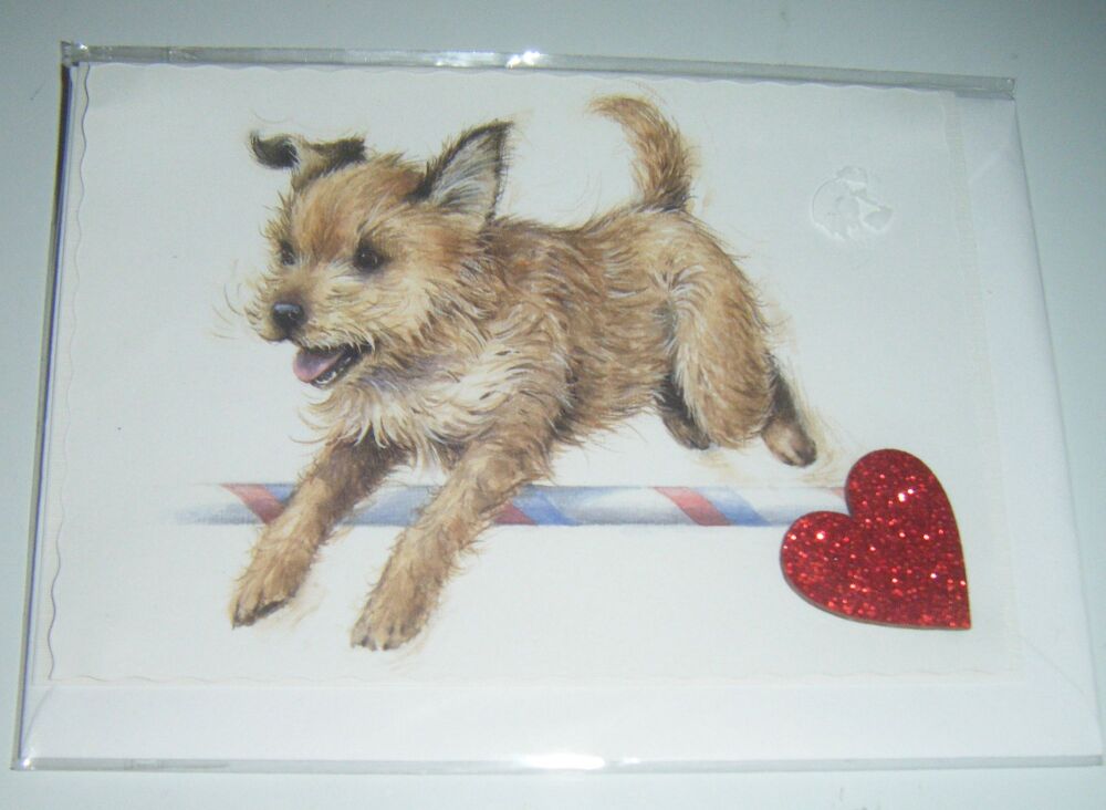 Border Terrier - Dog Greeting Card Blank Inside