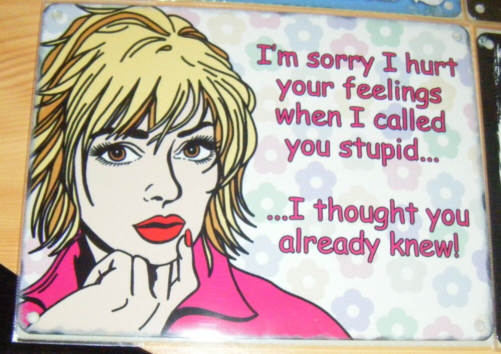 Sorry I Hurt Your Feelings Stupid  - Fun Metal Wall Picture Sign