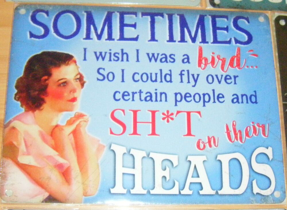 Sometimes I Wish I Was A Bird - Fun Metal Wall Picture Sign