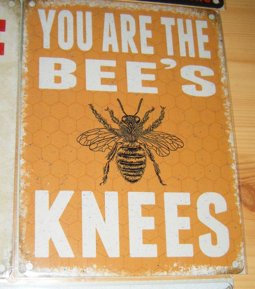 You Are The Bee's Knees - Fun Metal Wall Picture Sign