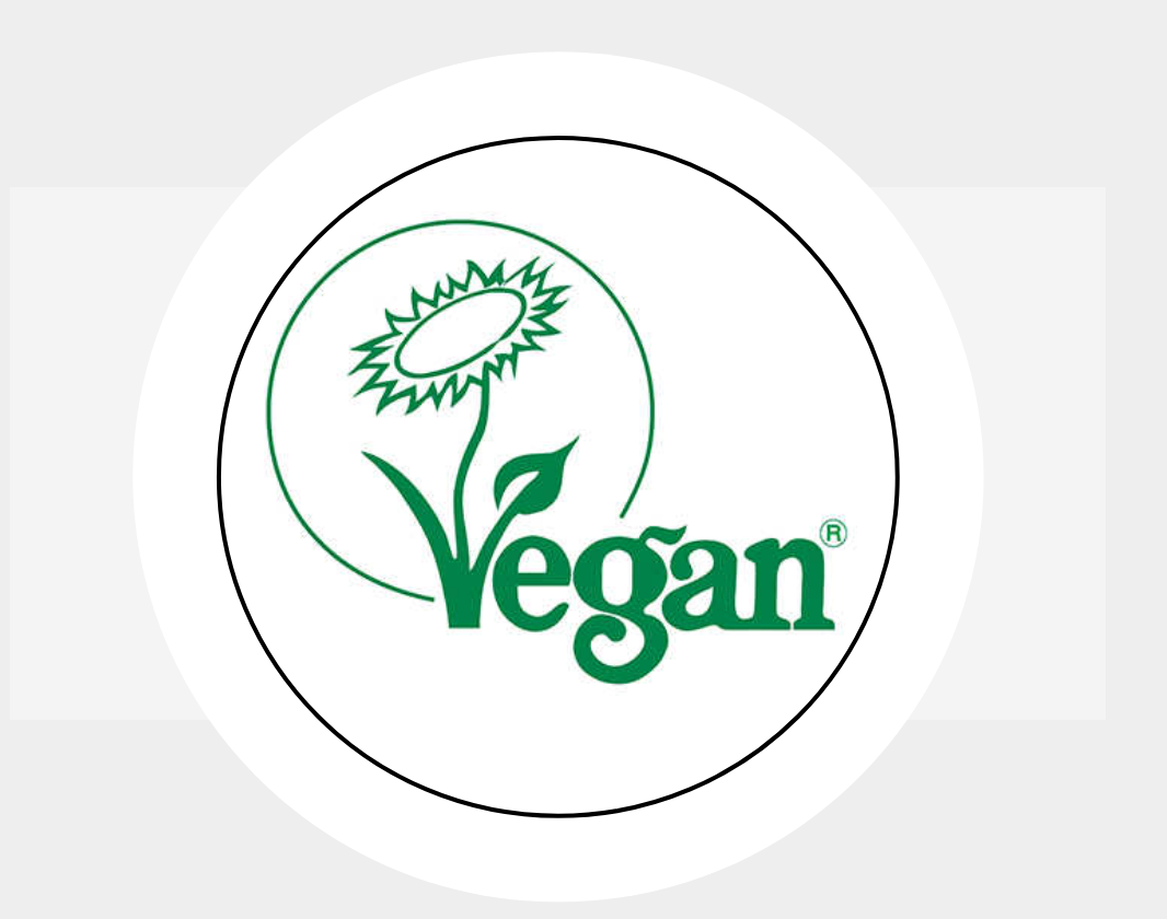 Vegan Design Green Stickers Seals Labels