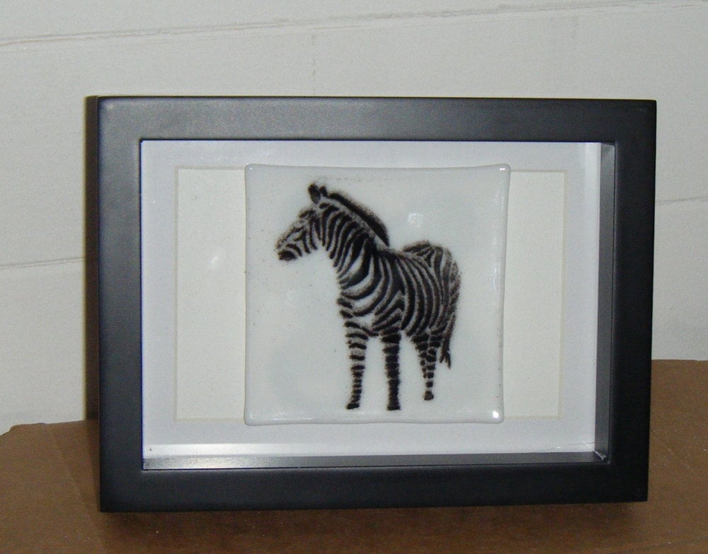 Black and White Zebra - Framed Glass Picture Tile