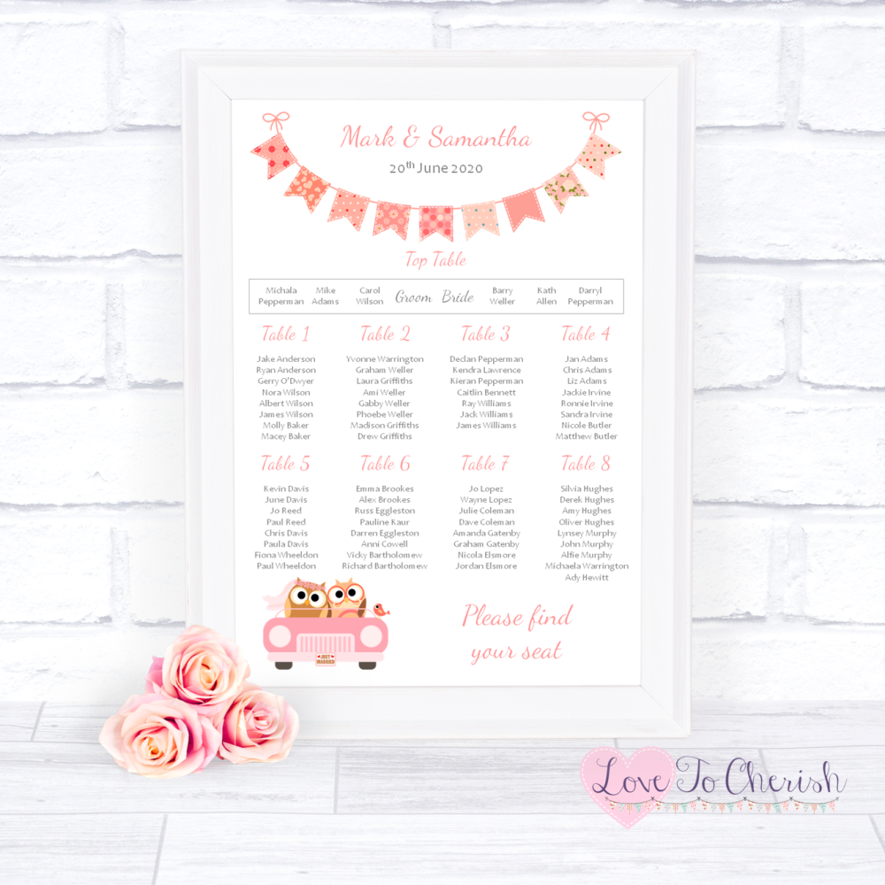 Wedding Table Plan - Bride & Groom Cute Owls in Car Peach