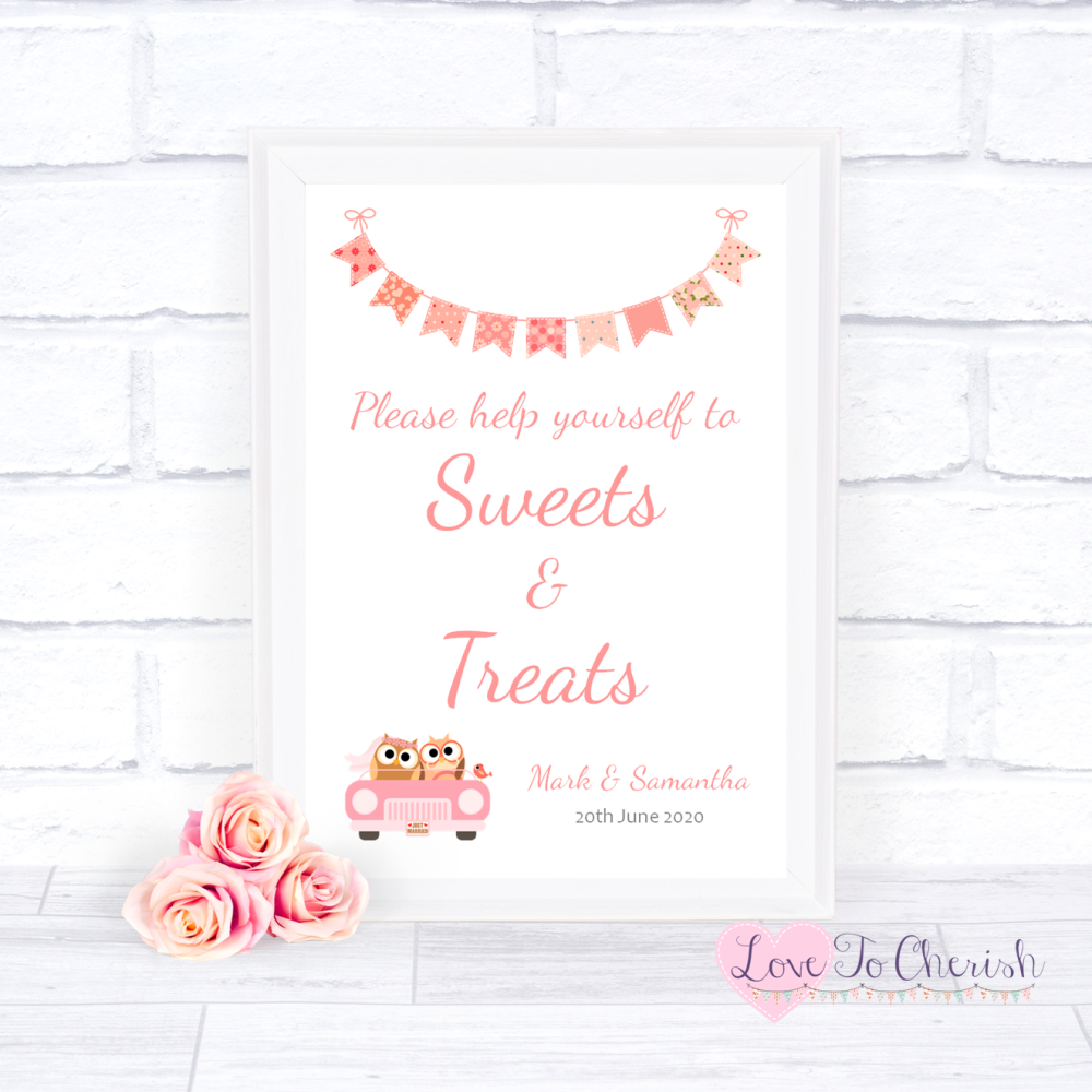 Sweets & Treats / Candy Table Wedding Sign - Bride & Groom Cute Owls in Car