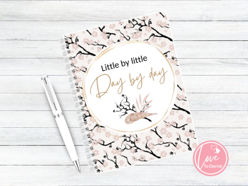 Little by Little Day by Day 12 week Personalised Food Diary