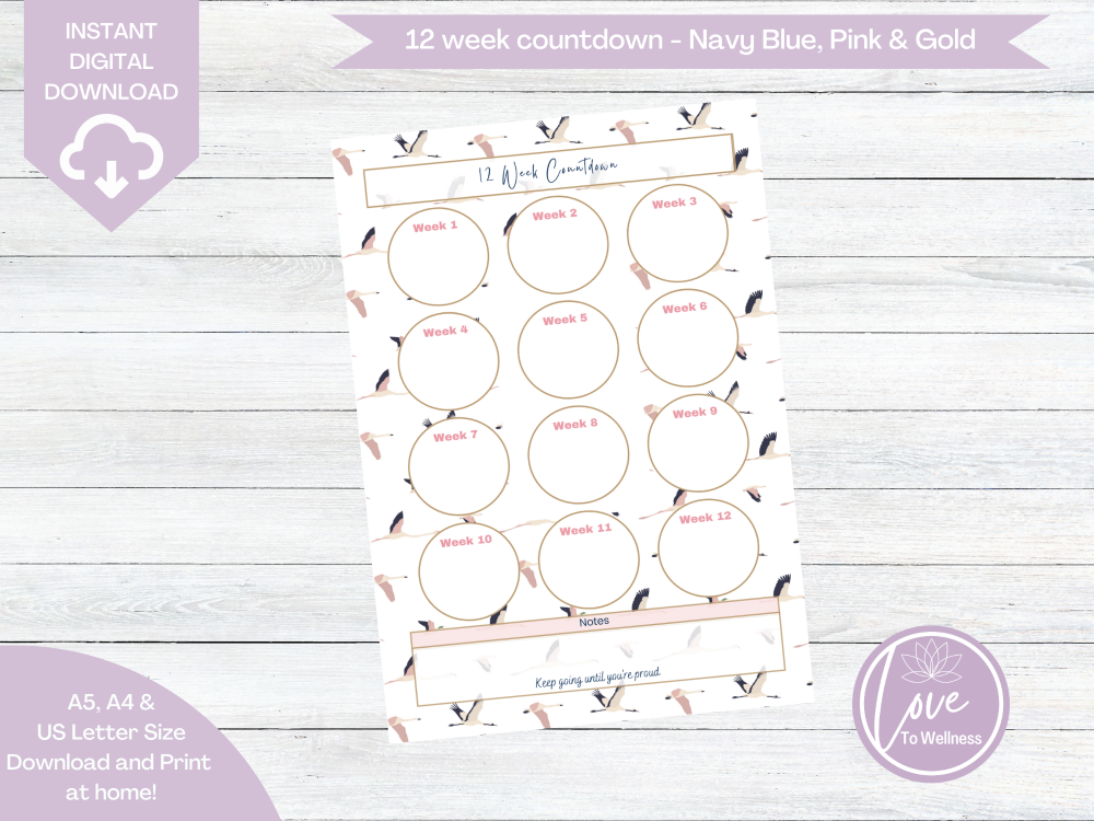 Printable 12 Week Countdown - Navy Blue & Pink Flying Geese - DIGITAL DOWNL
