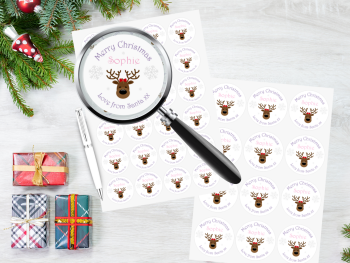 Reindeer Girl's Personalised Christmas Stickers (Pink)
