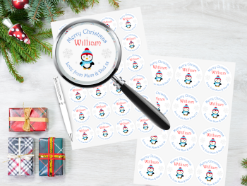 Penguin Boy's Personalised Christmas Stickers (Blue)