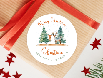 Winter Stags Personalised Christmas Stickers