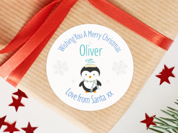 Penguin Boy's Personalised Christmas Stickers (Pale Blue)
