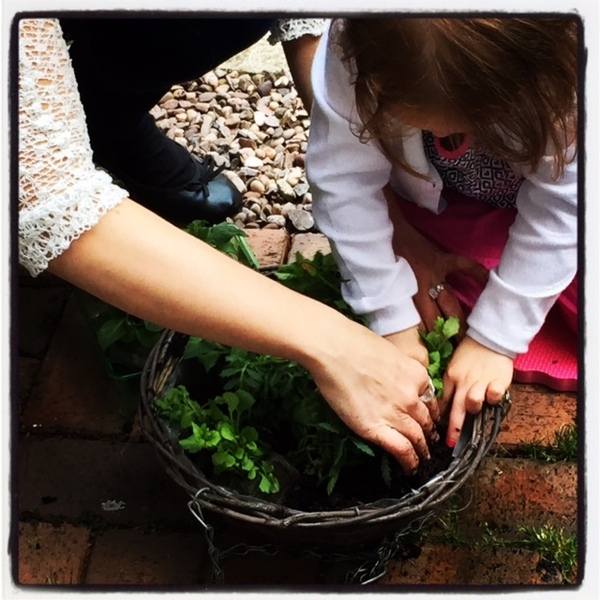 Toddler Gardening