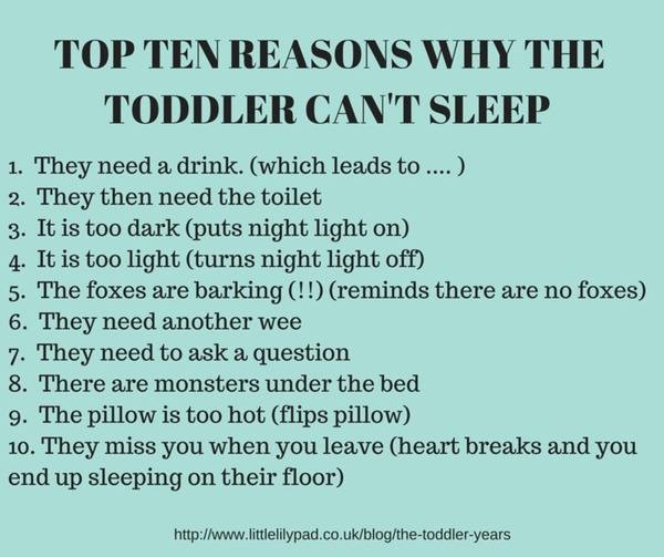 TODDLER SLEEP