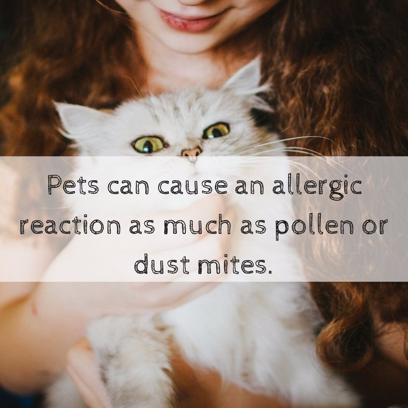Serenz - Pet allergy
