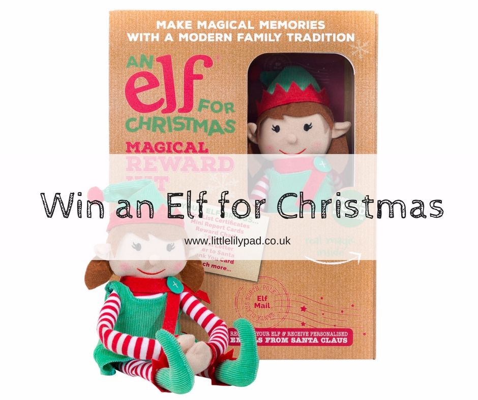 Win an Elf for Christmas